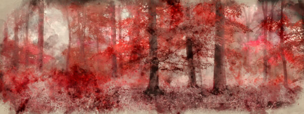 Fototapeta Crimson Forest – Czerwony Las we Mgle