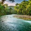 Fototapeta Jungle River – Rzeka w Tropikalnym Lesie