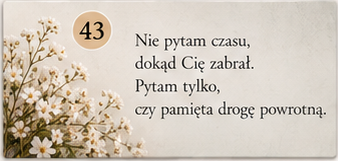 Sentencja 43