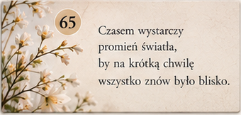 Sentencja 65