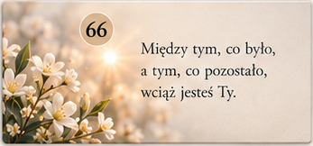 Sentencja 66